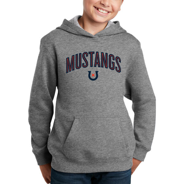 **CLOSEOUT ITEM** Youth Pullover Hooded Sweatshirt - Applique Logo Thumbnail