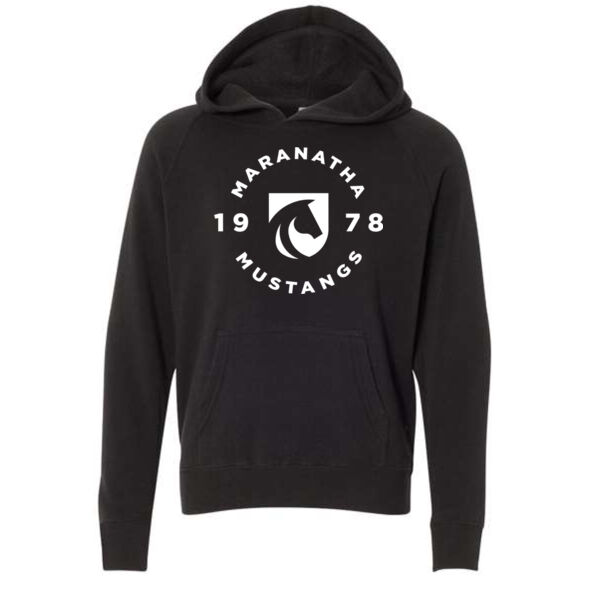 **CLOSEOUT ITEM** Youth Special Blend Raglan Hooded Pullover - Printed Logo Thumbnail