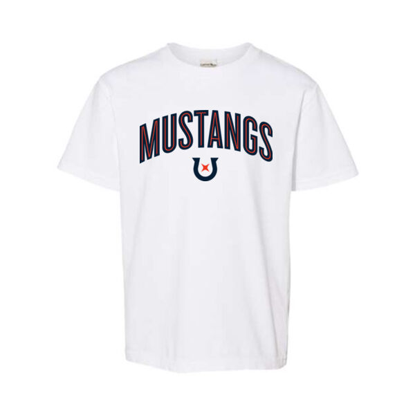 ComfortWash by Hanes - Garment-Dyed Youth T-Shirt - Printed Logo Thumbnail