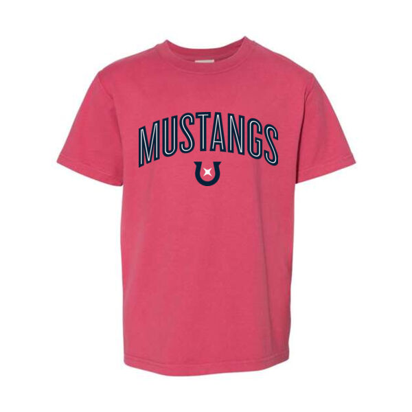 ComfortWash by Hanes - Garment-Dyed Youth T-Shirt - Printed Logo Thumbnail